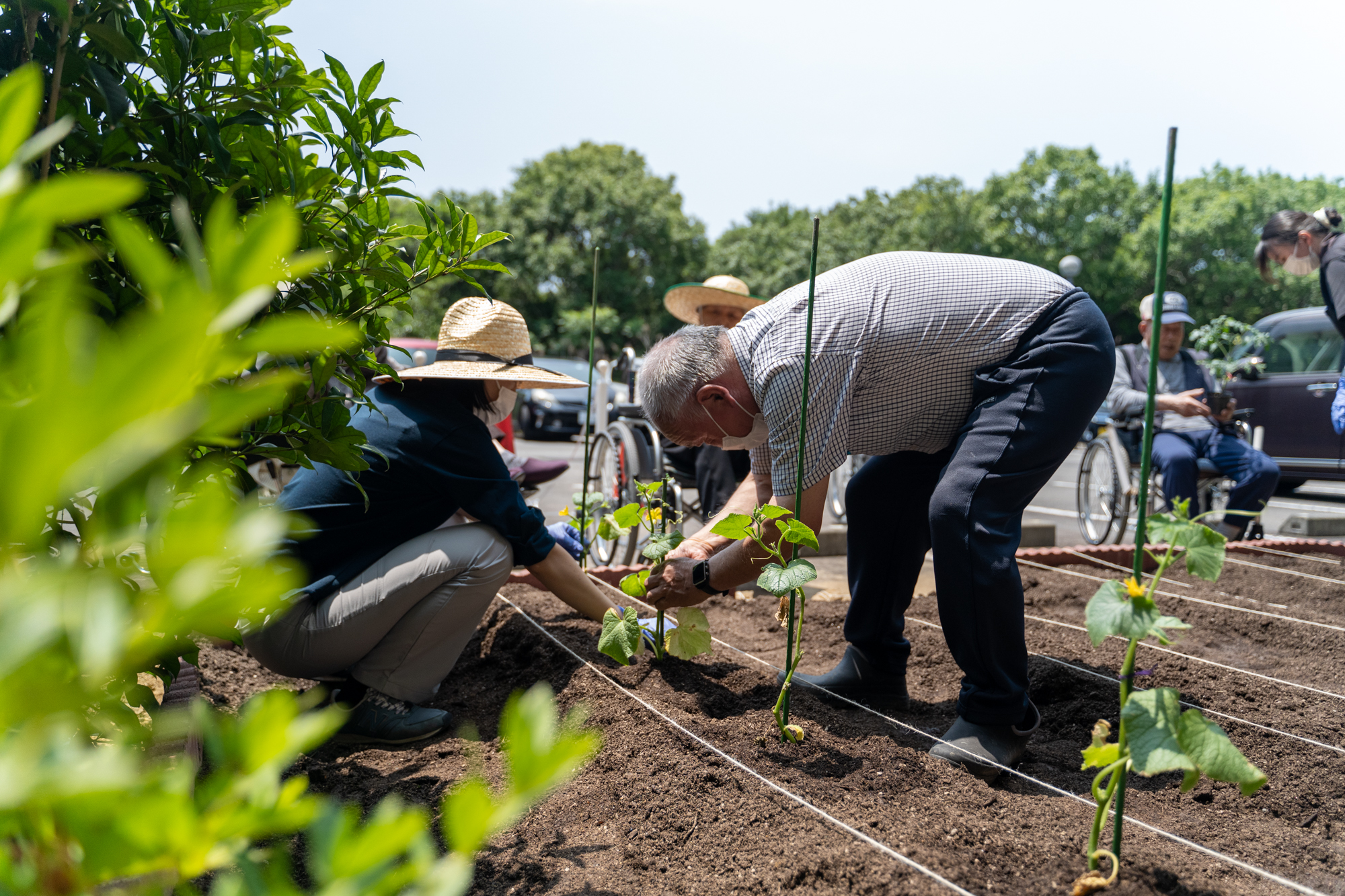 特養うがた苑でミニ畑プロジェクト始動！野菜の苗植えを行いました
