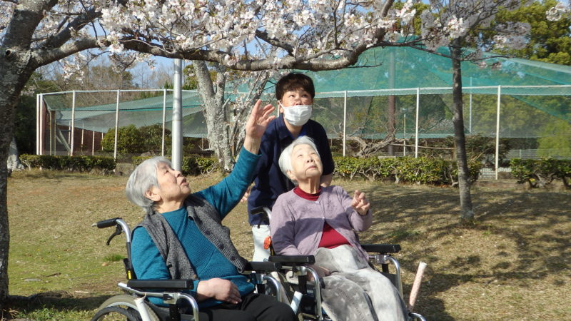 ふたみ苑でご利用者の皆様とお花見を実施いたしました